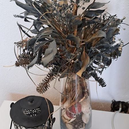 Apartment Oaza Mira Tribalj المظهر الخارجي الصورة