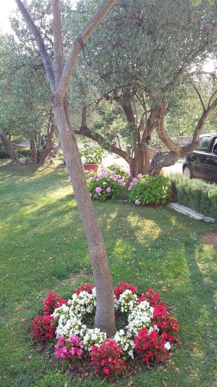 Apartment Oaza Mira Tribalj الغرفة الصورة
