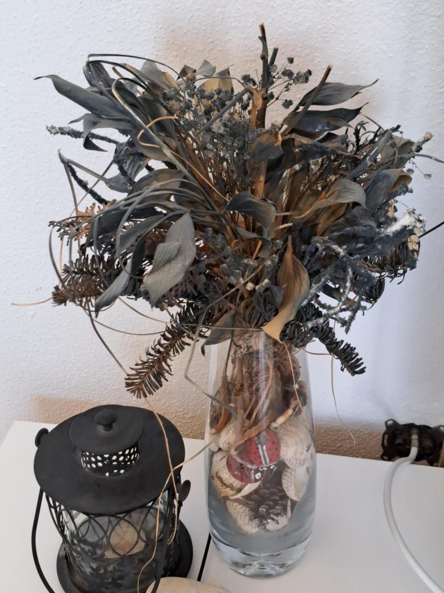 Apartment Oaza Mira Tribalj المظهر الخارجي الصورة