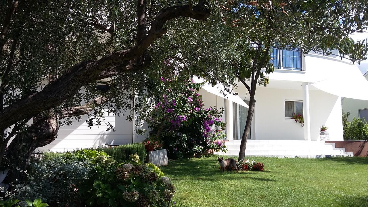 Apartment Oaza Mira Tribalj المظهر الخارجي الصورة